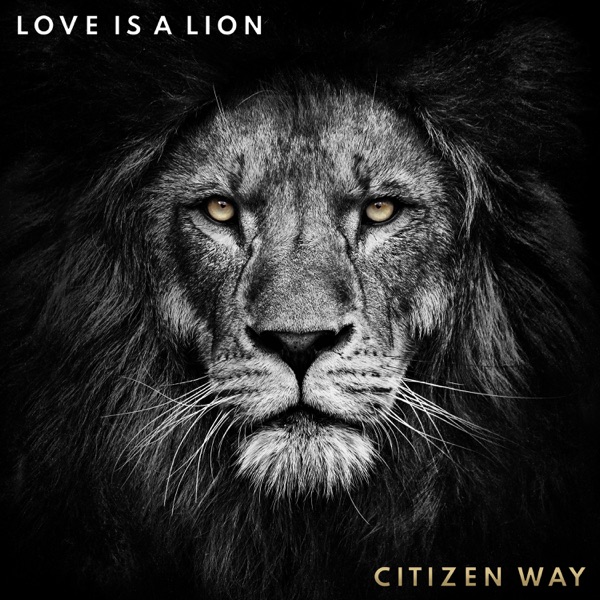 Love Is a Lion album cover