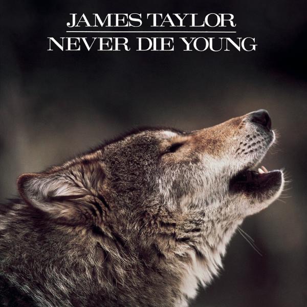 Never Die Young album cover