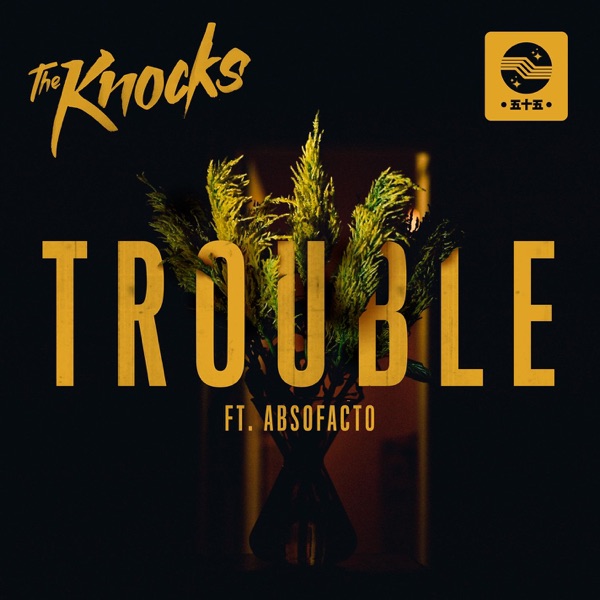 TROUBLE (feat. Absofacto) - Single album cover