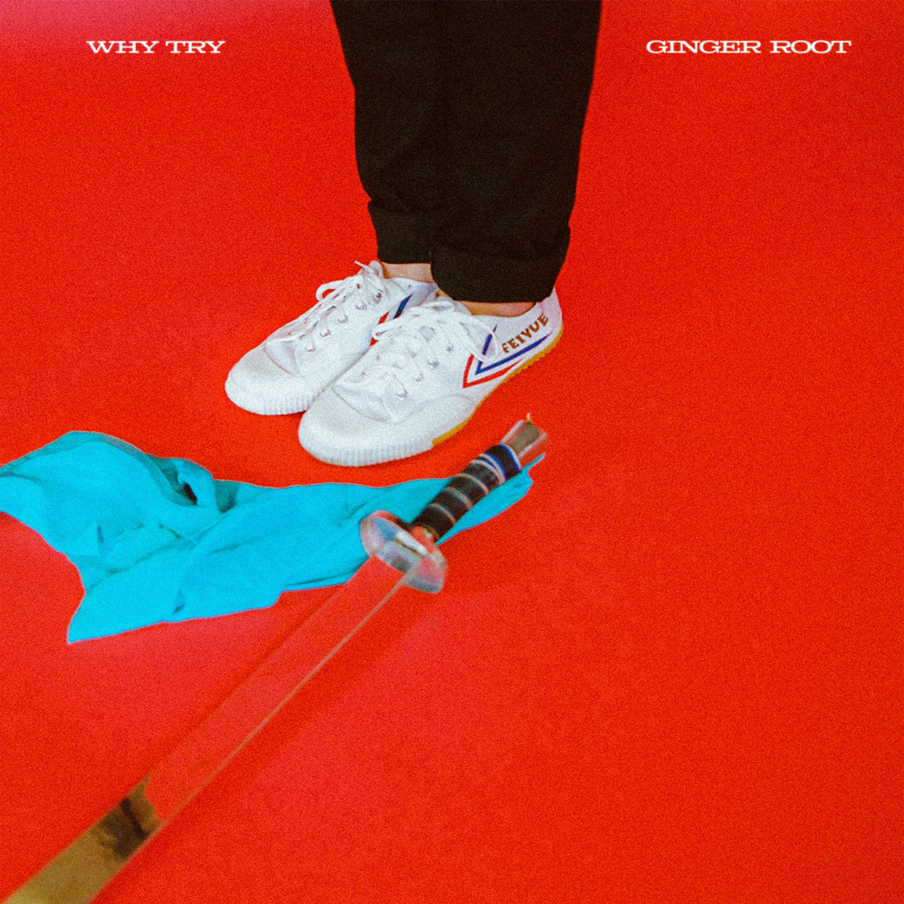 Why Try - Single album cover