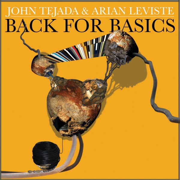 Back For Basics album cover
