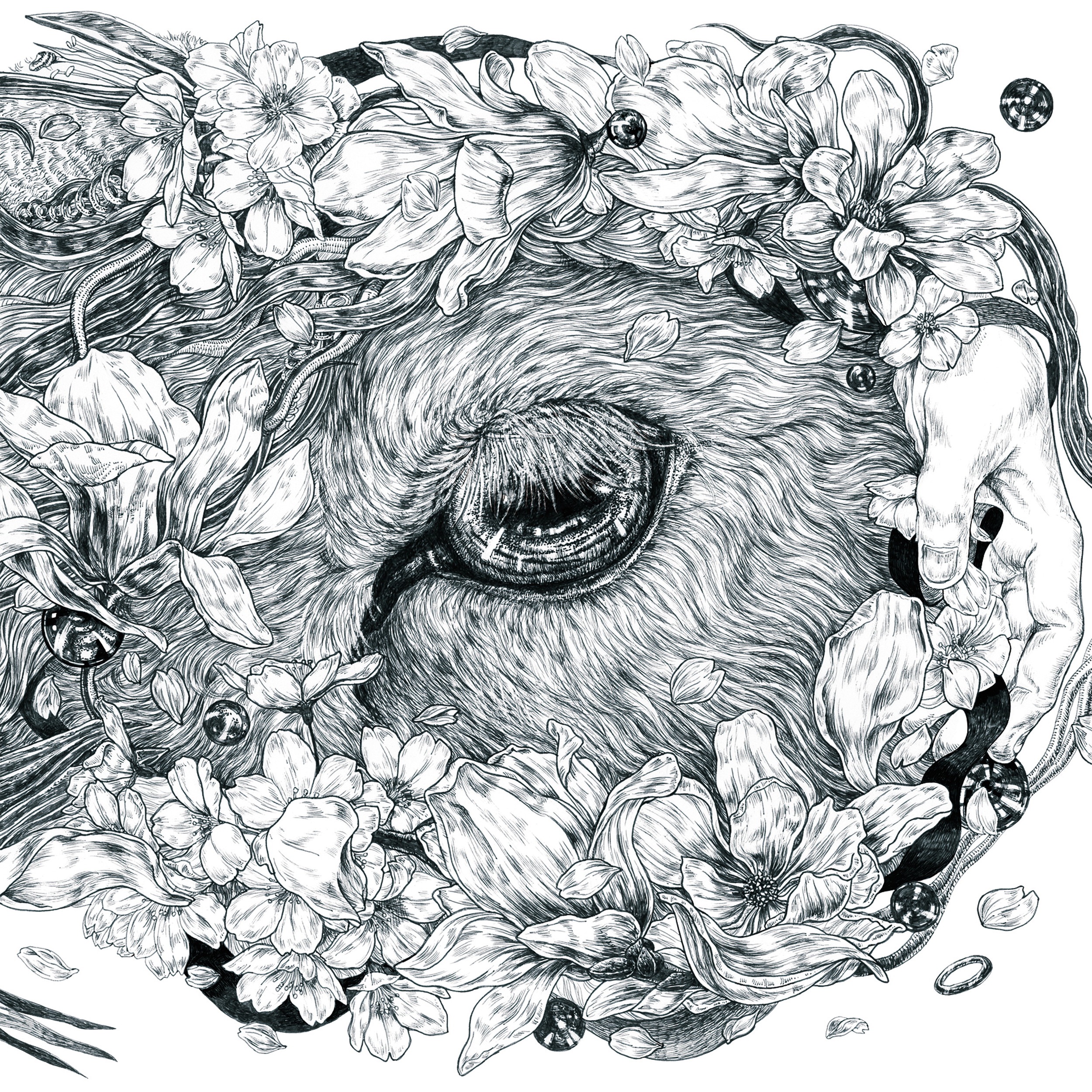 Bouquet - EP album cover