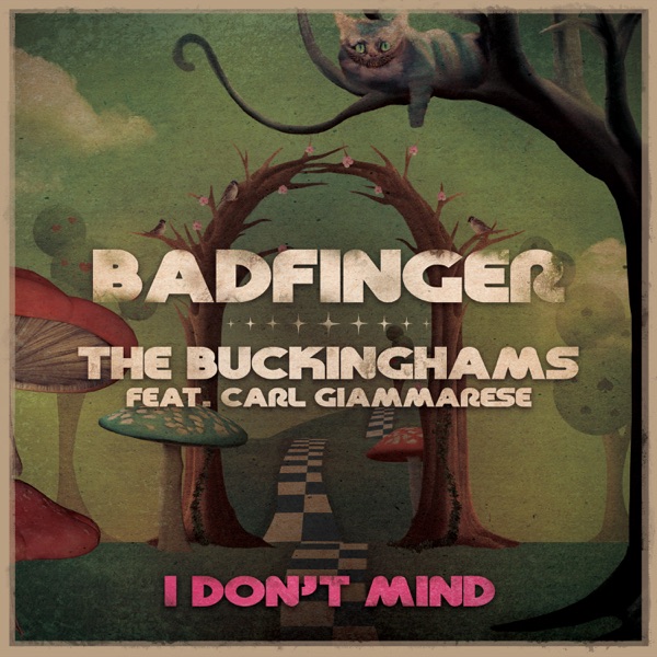 I Don't Mind (feat. The Buckinghams & Carl Giammarese) - Single album cover