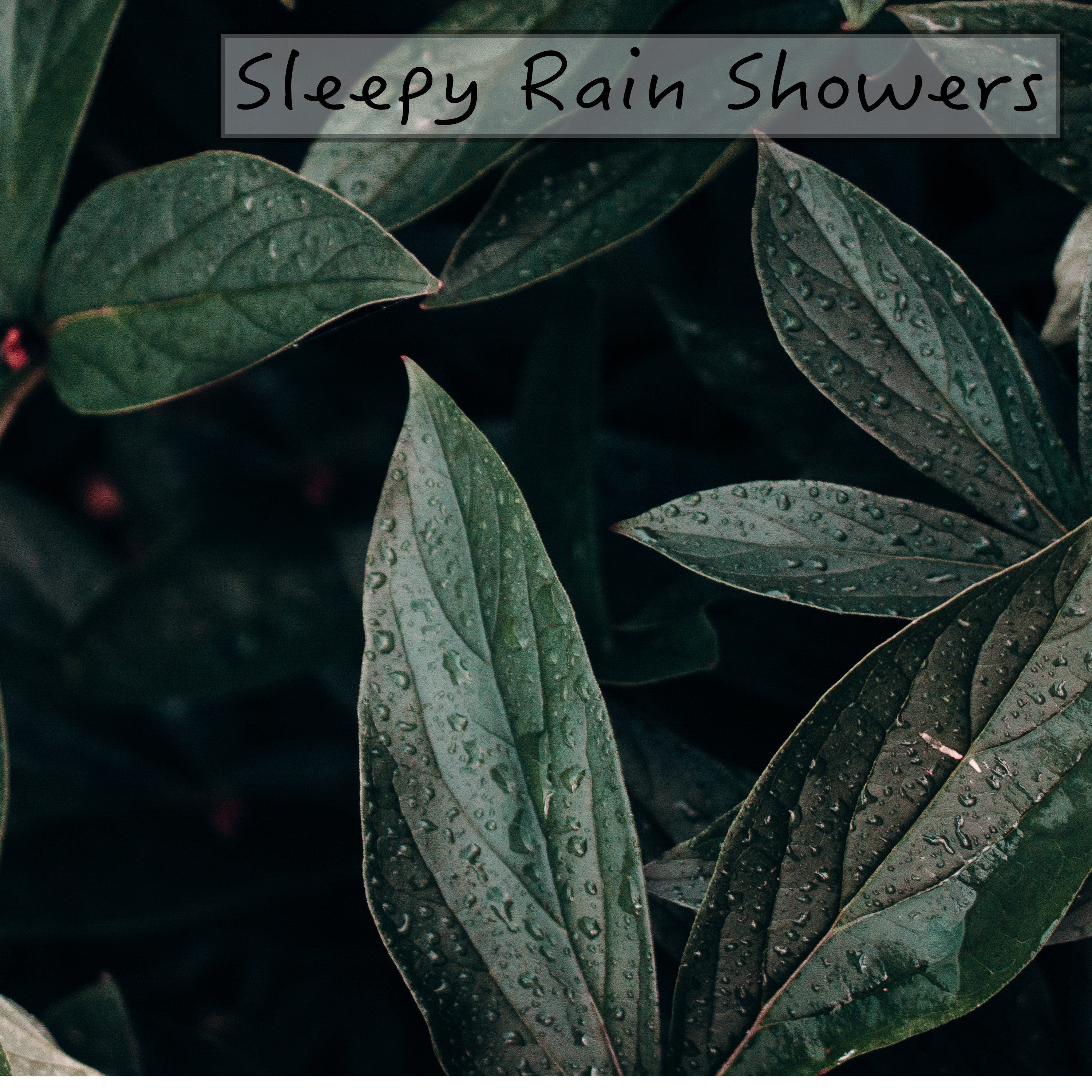 Sleepy Rain Showers album cover