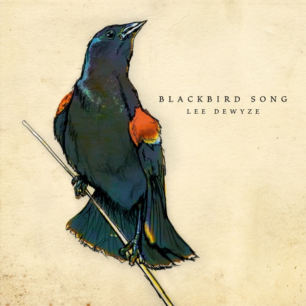 Blackbird Song - Single album cover
