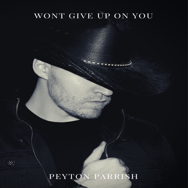 Won't Give up on You - Single album cover