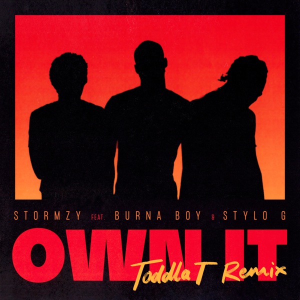 Own It (feat. Burna Boy & Stylo G) [Toddla T Remix] - Single album cover