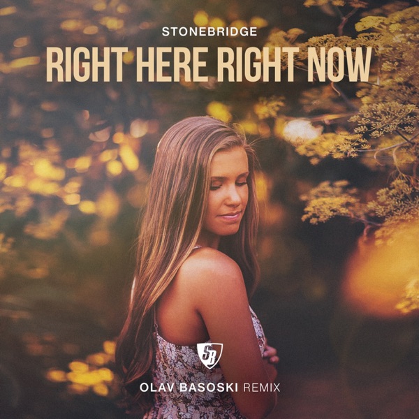 Right Here Right Now (feat. Haley) - Single album cover