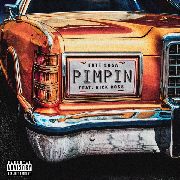 Pimpin (feat. Rick Ross) - Single album cover