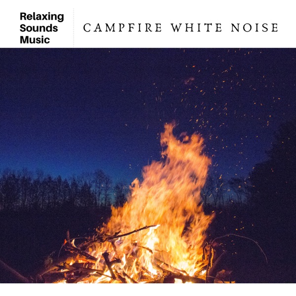 Campfire White Noise album cover