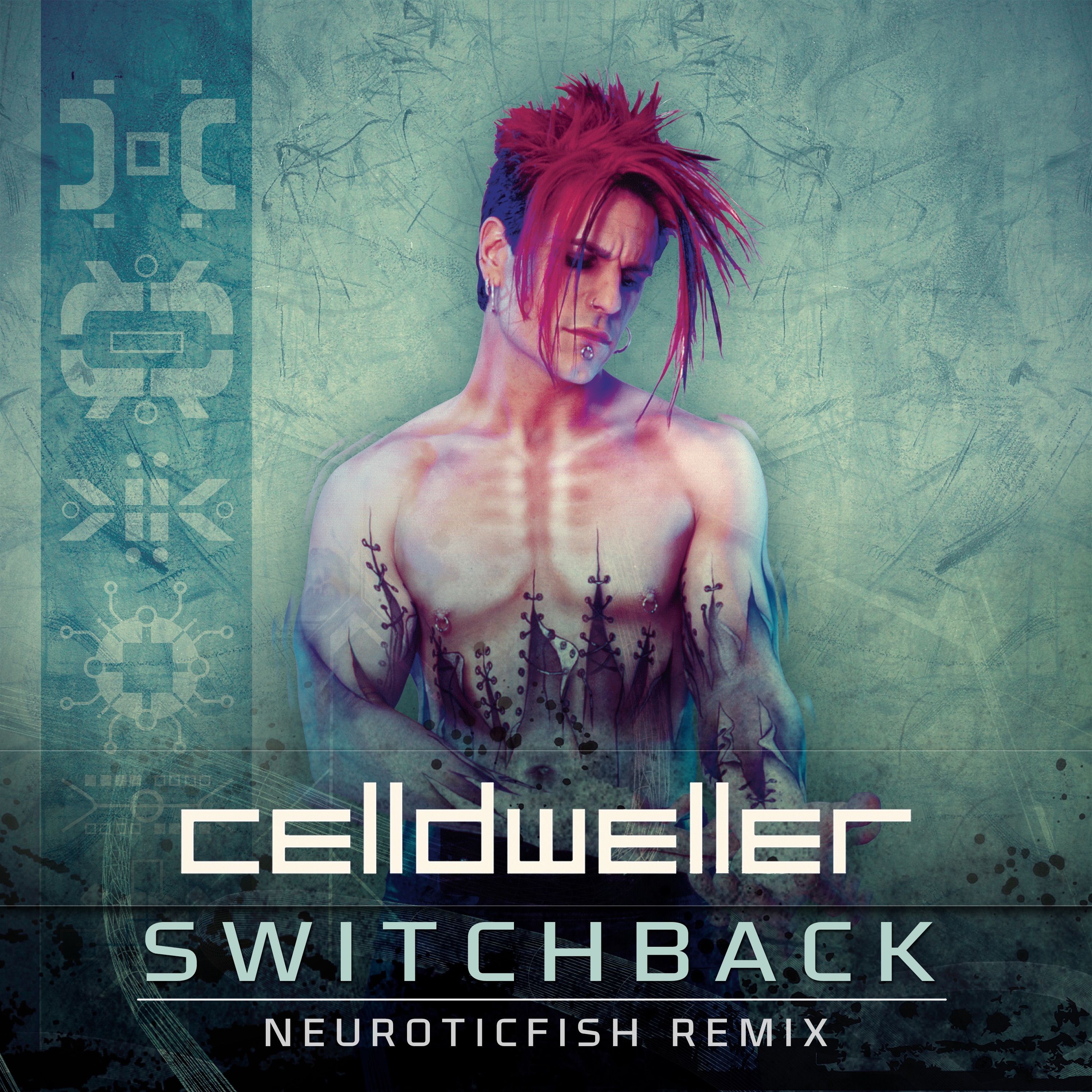 Switchback (Neuroticfish Remix) - Single album cover