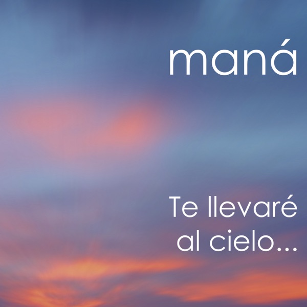 Te llevaré al cielo... - Single album cover