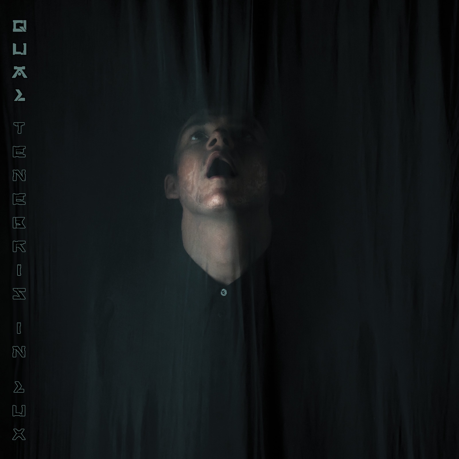 Tenebris in Lux album cover