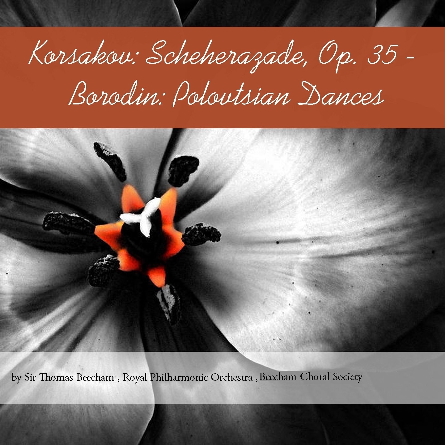 Korsakov: Scheherazade, Op. 35 - Borodin: Polovtsian Dances album cover