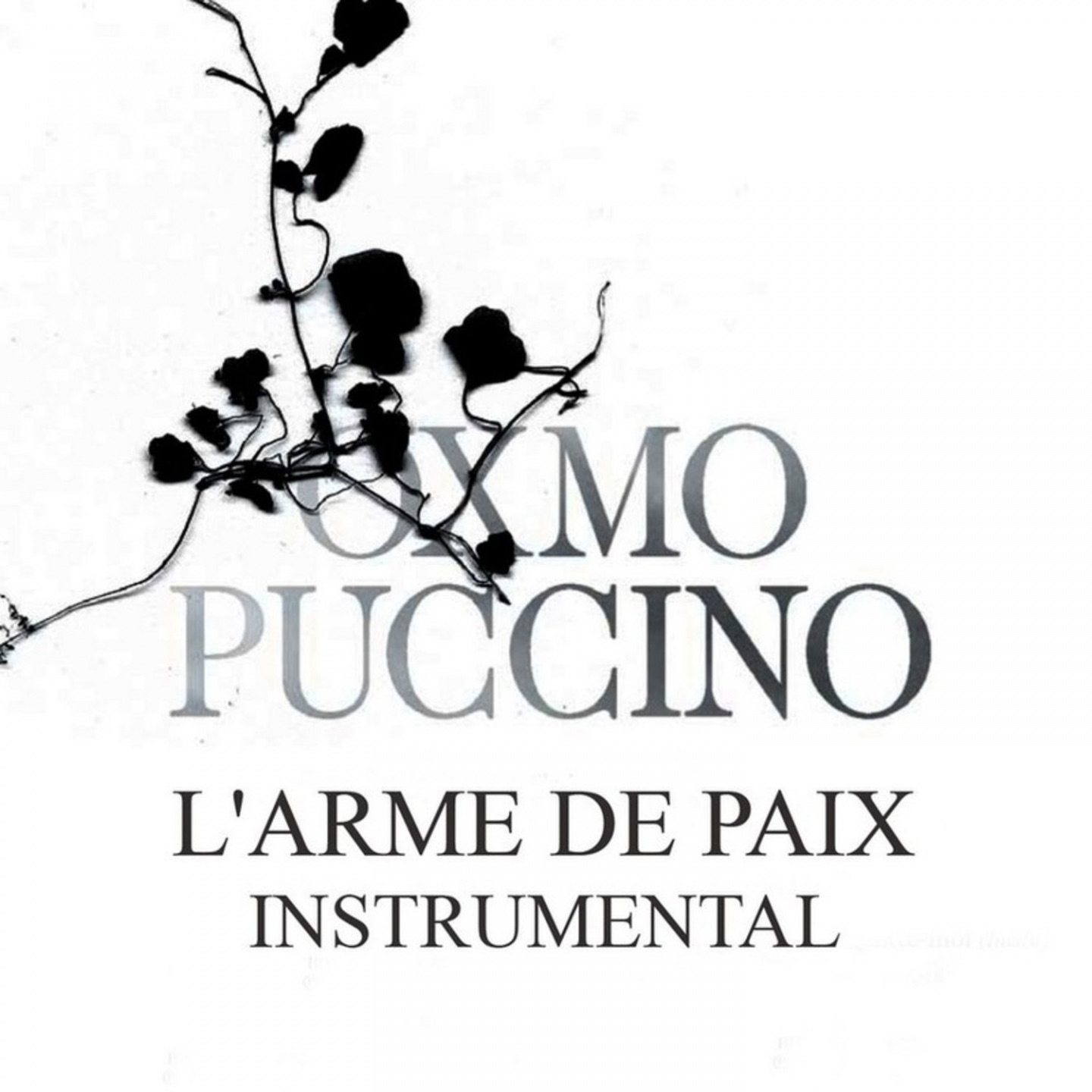 L'arme de paix (Version instrumentale) album cover