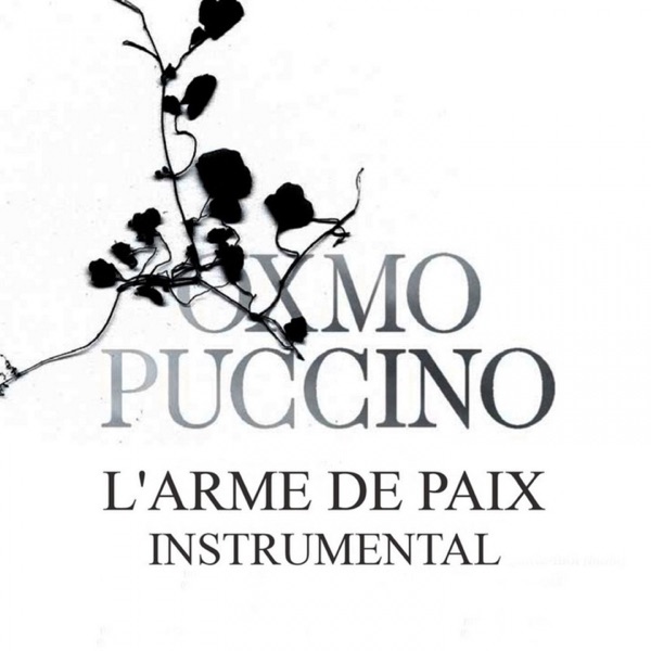 L'arme de paix (Version instrumentale) album cover