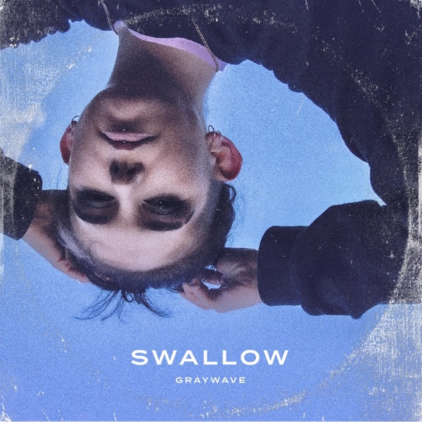 Swallow - Single album cover
