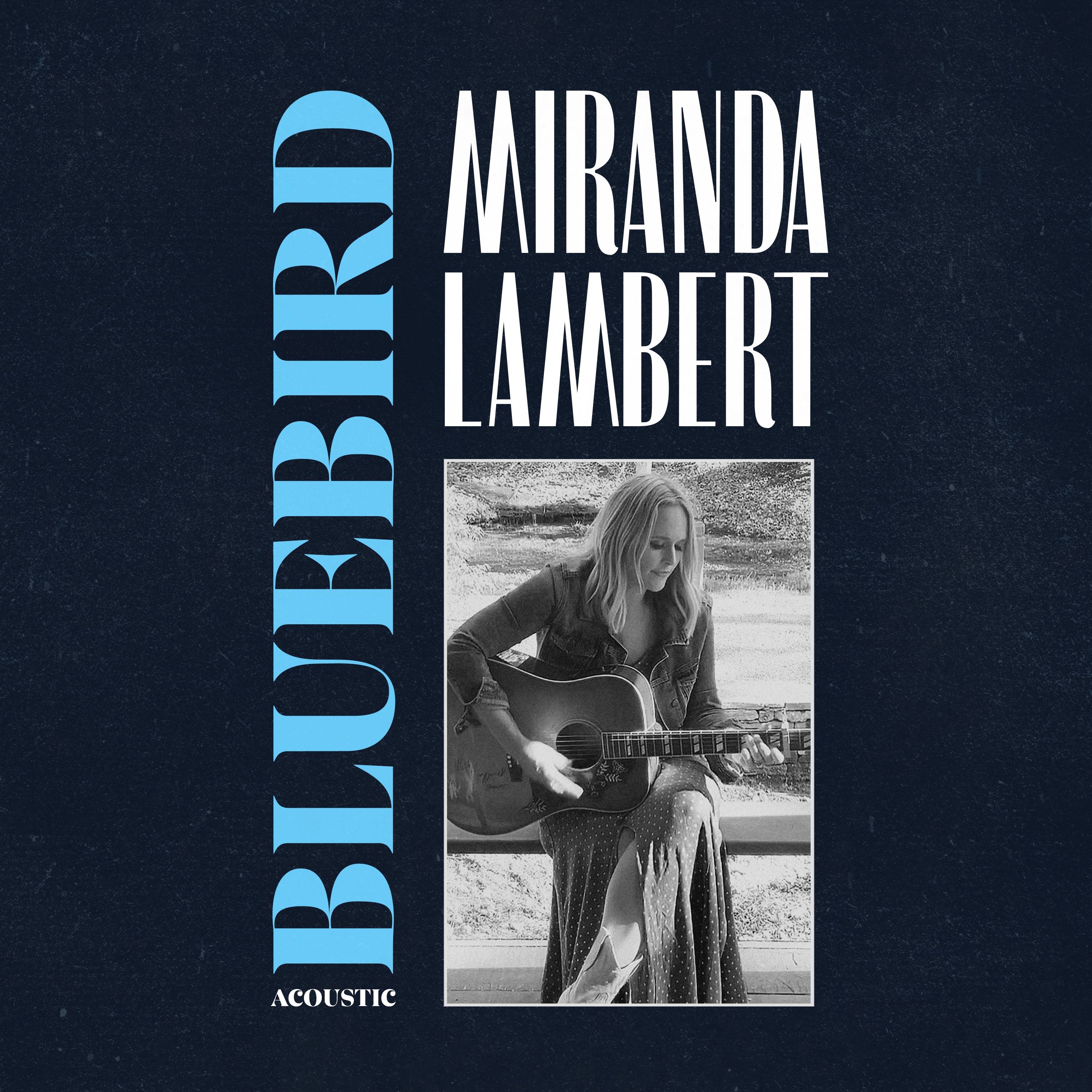Bluebird (Acoustic) - Single album cover