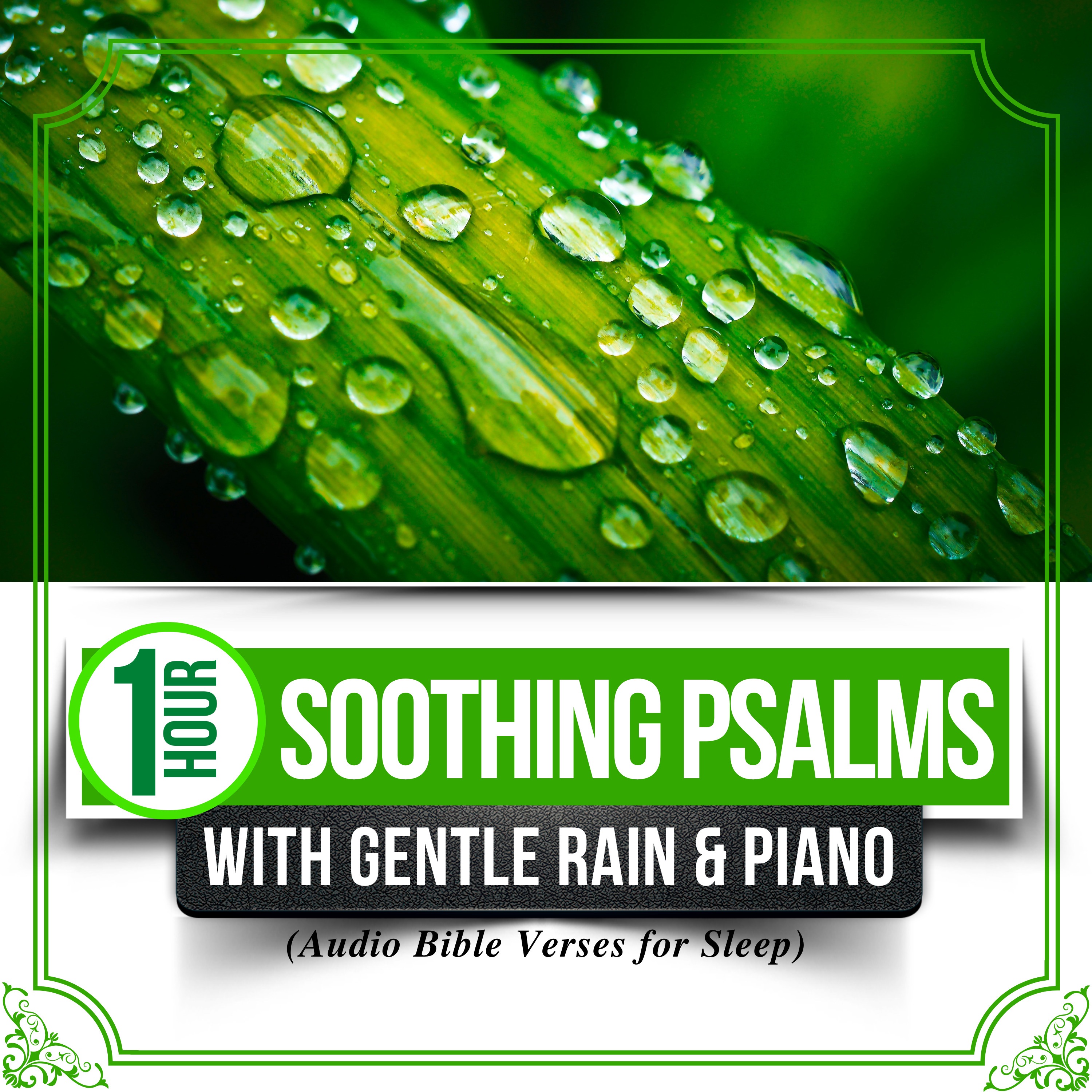 (1 Hour) Soothing Psalms with Gentle Rain & Piano (Audio Bible Verses for Sleep) album cover