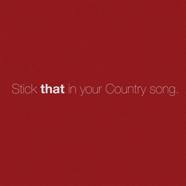 Stick That in Your Country Song - Single album cover