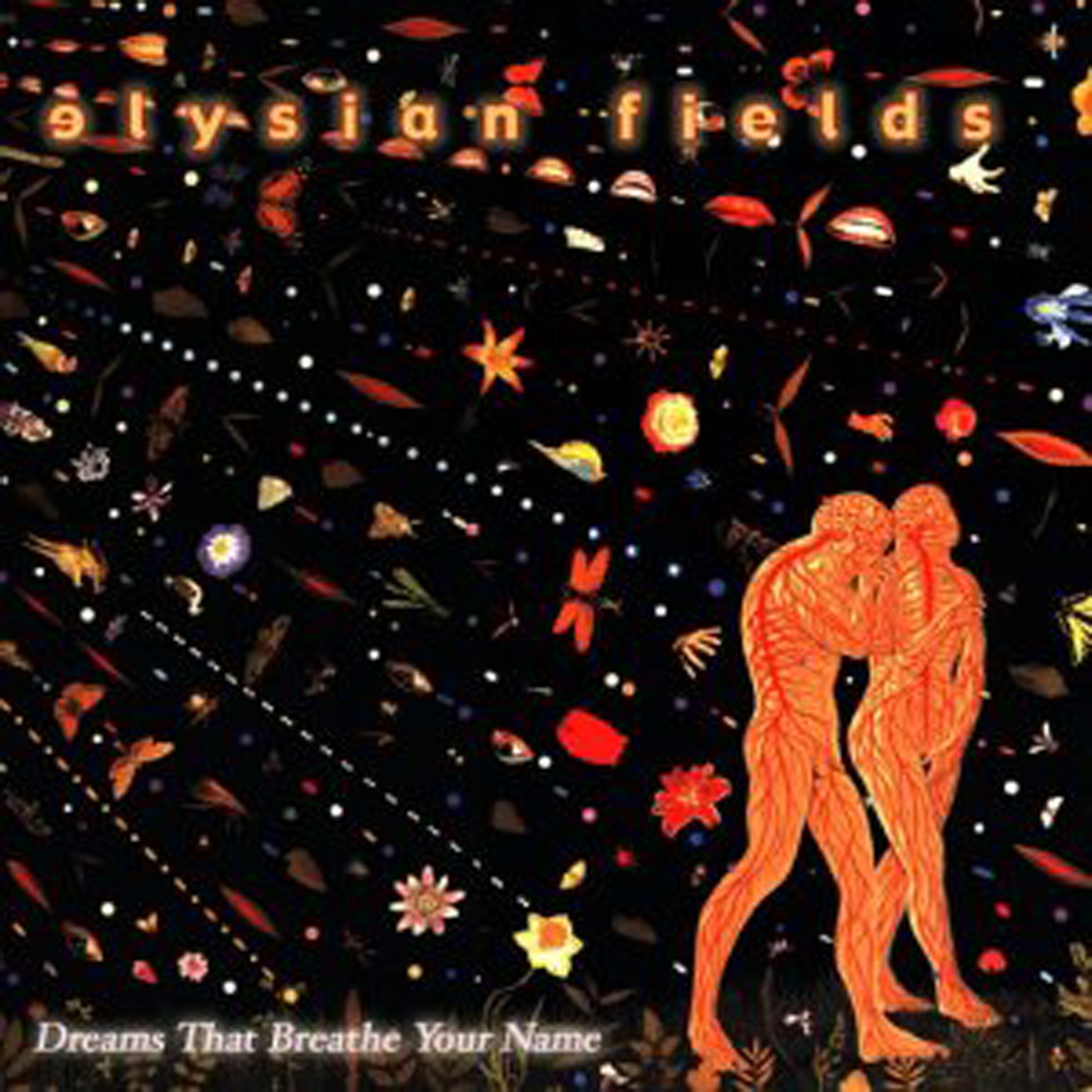 Dreams That Breathe Your Name album cover