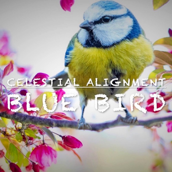 Blue Bird (From "Naruto Shippuden") [Chillhop] - Single album cover