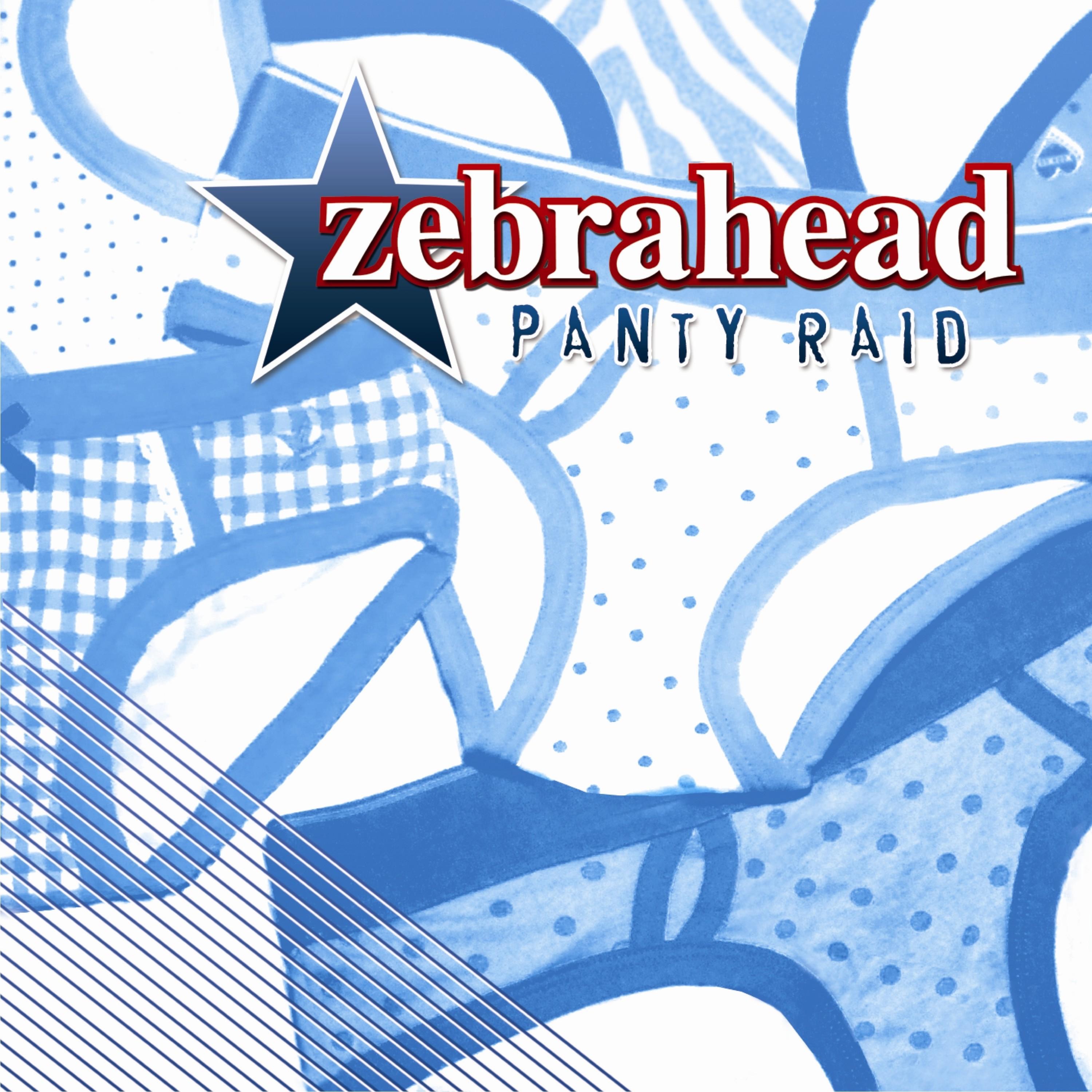 Panty Raid (Bonus Edition) album cover