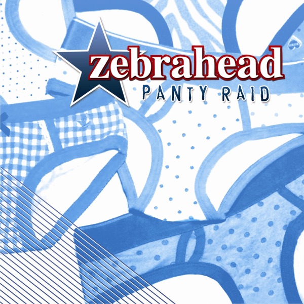 Panty Raid (Bonus Edition) album cover