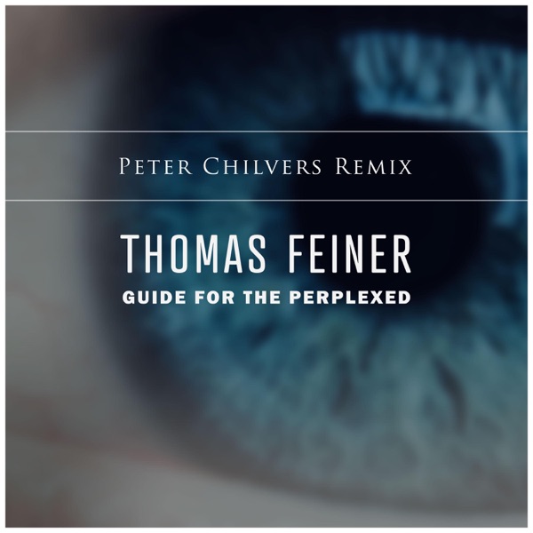 Guide for the Perplexed (Peter Chilvers remix) - Single album cover