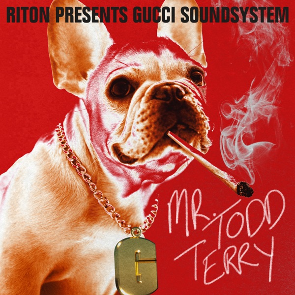Mr Todd Terry - Single album cover