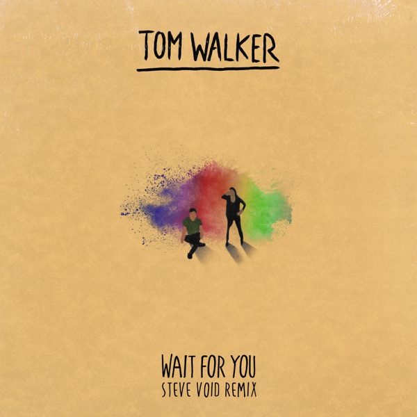 Wait for You (Steve Void Remix) - Single album cover
