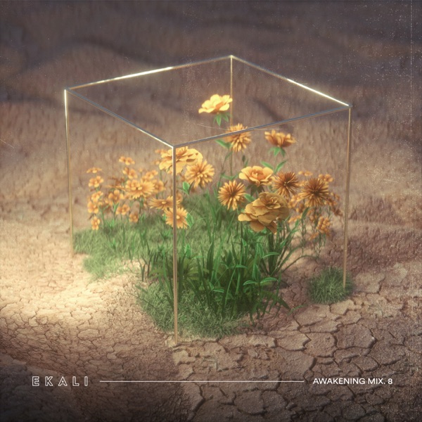 Awakening - Mix.8 (DJ Mix) album cover