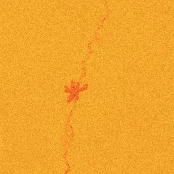 yellow hills - EP album cover