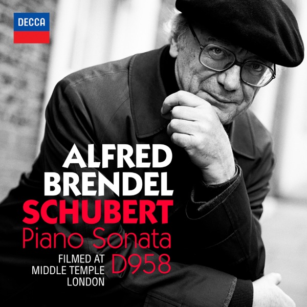Schubert: Piano Sonata No. 19 in C Minor, D. 958 - Visual Album album cover