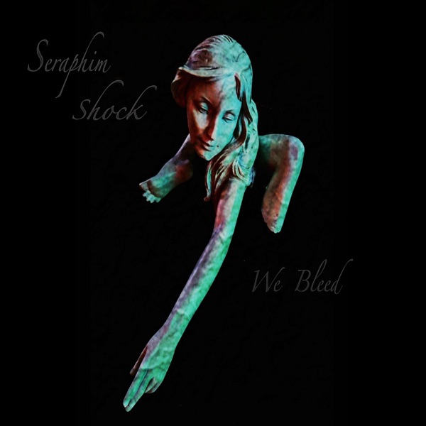 We Bleed - Single album cover