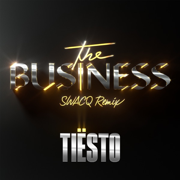 The Business (SWACQ Remix) - Single album cover