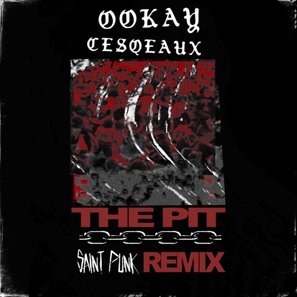 The Pit (Saint Punk Remix) - Single album cover