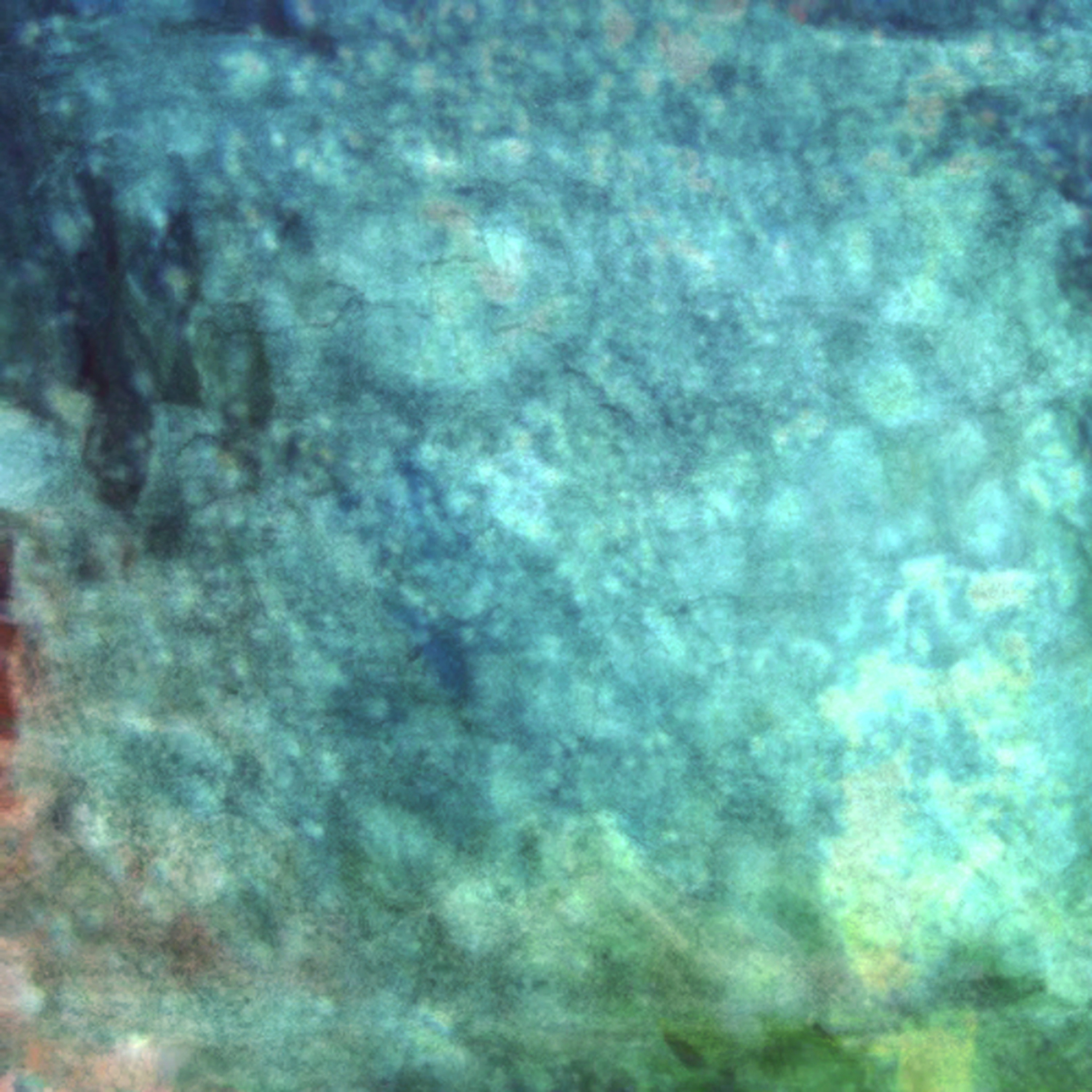 Perfect Days For Suicide album cover