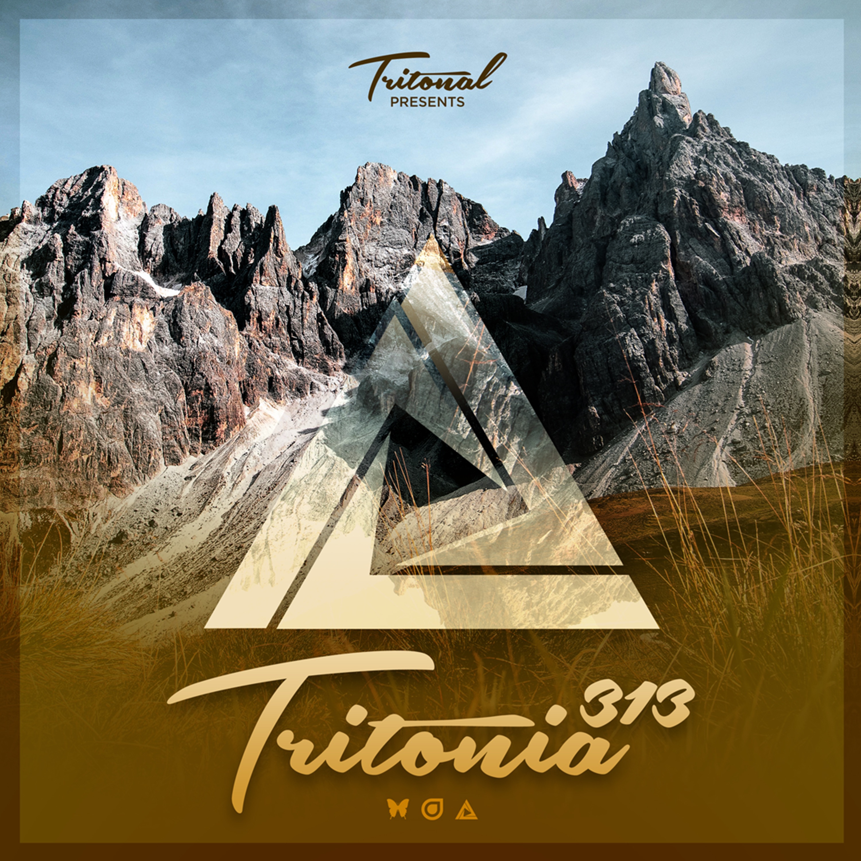 Tritonia 313 album cover