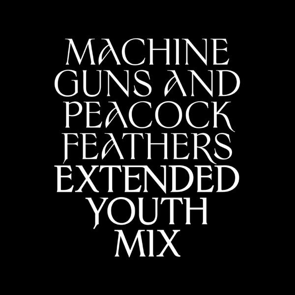 Machine Guns and Peacock Feathers (Extended Youth Mix) - Single album cover