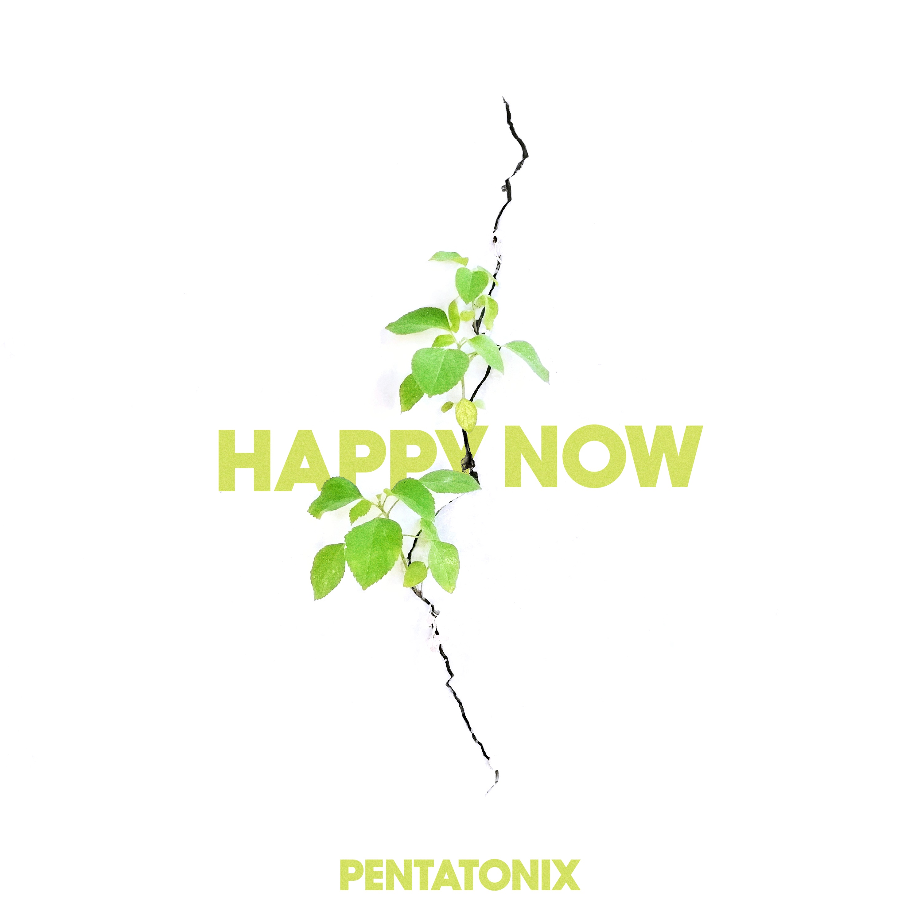 Happy Now - Single album cover