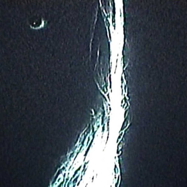 KickingTheBucket album cover