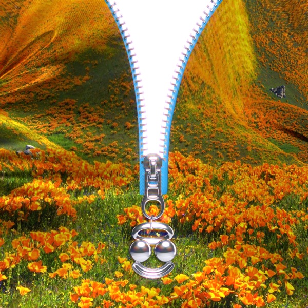 Lust for Life (feat. The Weeknd) [BloodPop® Remix] - Single album cover