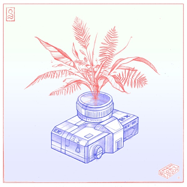 Memory Bloom - EP album cover