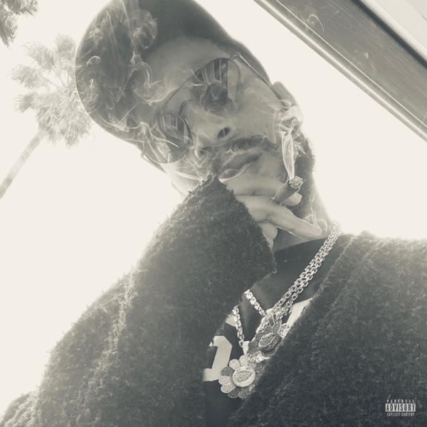 Leader of the Delinquents - Single album cover