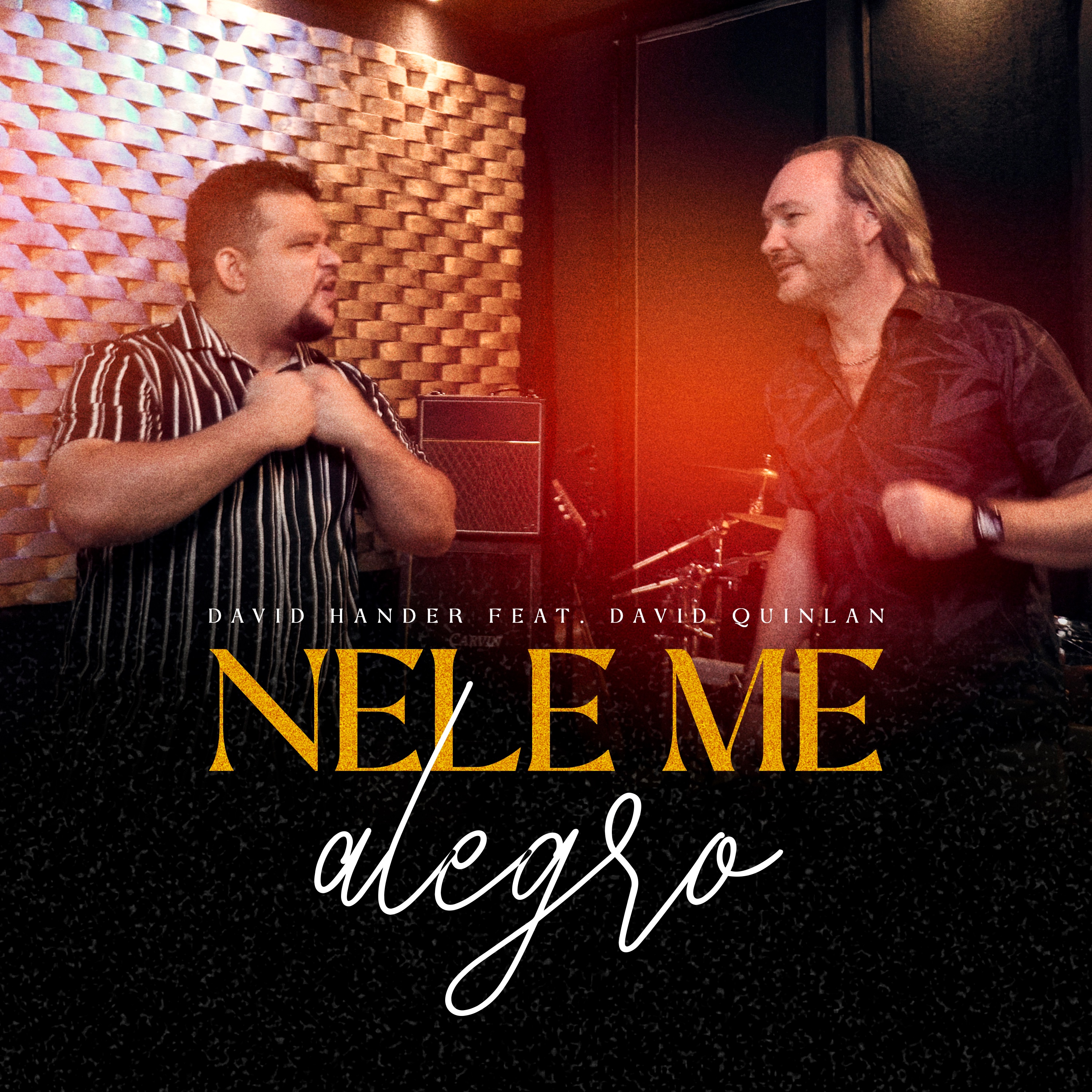 Nele Me Alegro (feat. David Quinlan) - Single album cover
