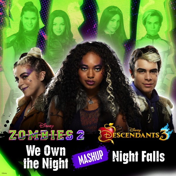 We Own the Night / Night Falls Mashup - Single album cover