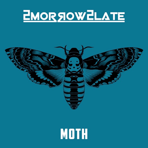 Moth - Single album cover
