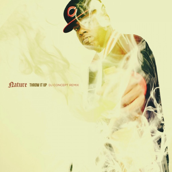 Throw It Up (DJ Concept Remix) - Single album cover