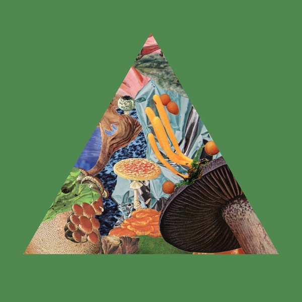 Poison the Well - Single album cover